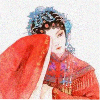 读者白鹭头像